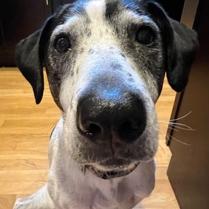 Meet your Posher, Kerry